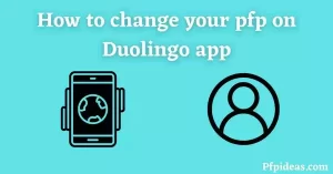 change pfp on Duolingo App