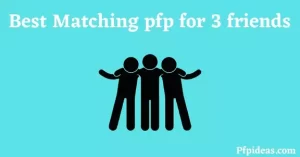 Best Matching pfp for 3 friends