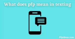 What does pfp mean- Ultimate Guide